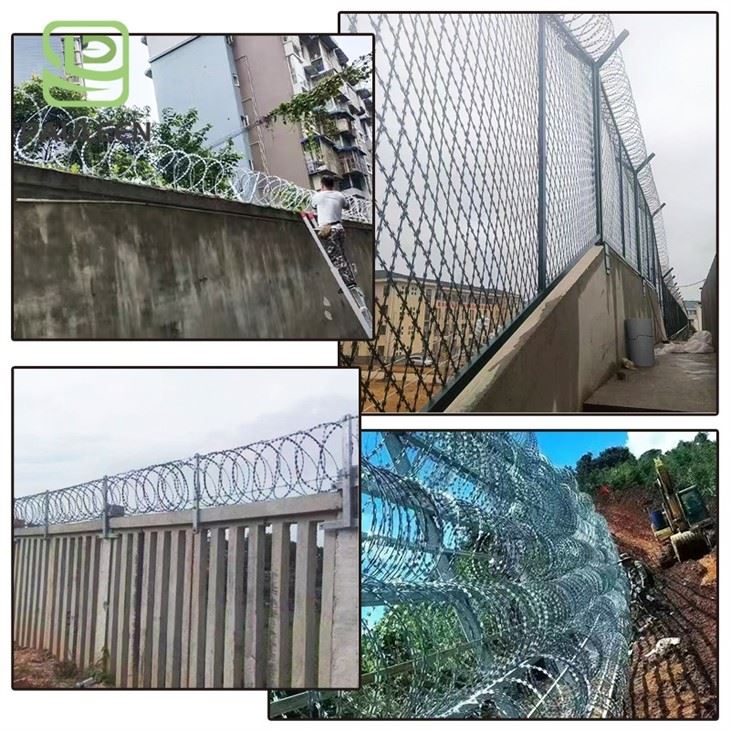 Galvanized Concertina Wire factory
