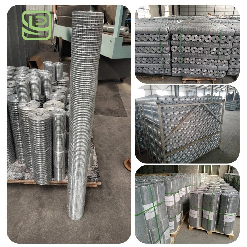 Stainless Steel Welded Wire Mesh Stainless Steel Welded Wire Mesh