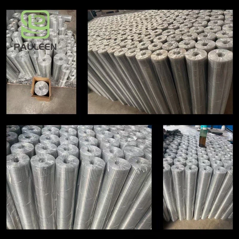 Stainless steel welded wire mesh Stainless steel welded wire mesh